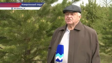 Волонтеры ухаживают за «Лесом Победы» в Ковернинском округе