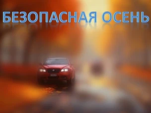 Сотрудники госавтоинспекции напоминают правила дорожной безопасности в осенний период