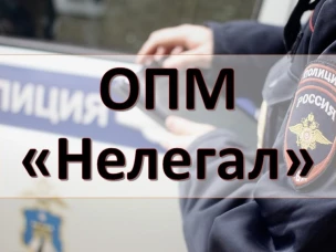 Подведены итоги первого этапа операции «Нелегал»