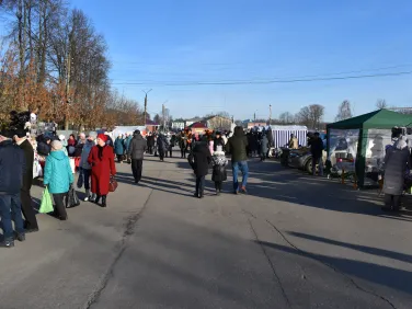 Гастрономический фестиваль зеленых щей