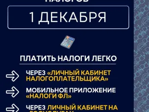 Напоминаем о необходимости оплаты налогов физлицами не позднее 1 декабря 2025 года!