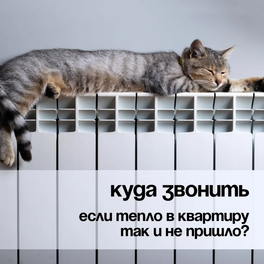 Пост о том, куда звонить, если в квартире все еще холодно.